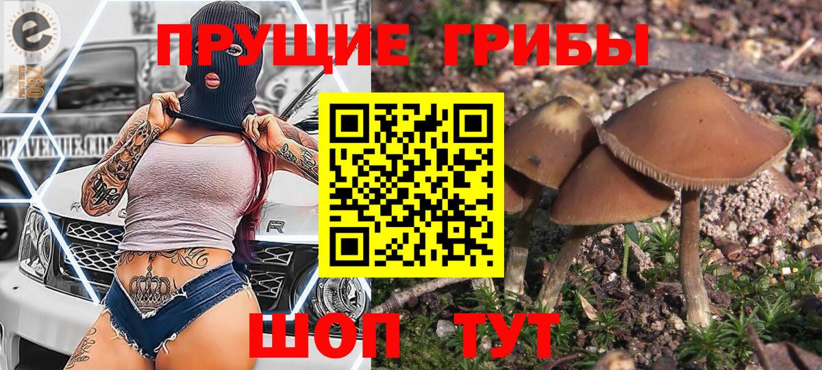 купить   Вход с VPN  Ивантеевка  Псилоцибиновые грибы прущие грибы 
